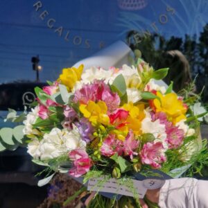 Ramo Mega Fresias Multicolor