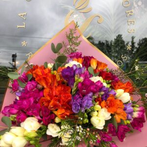 Fresias Full Color Grande