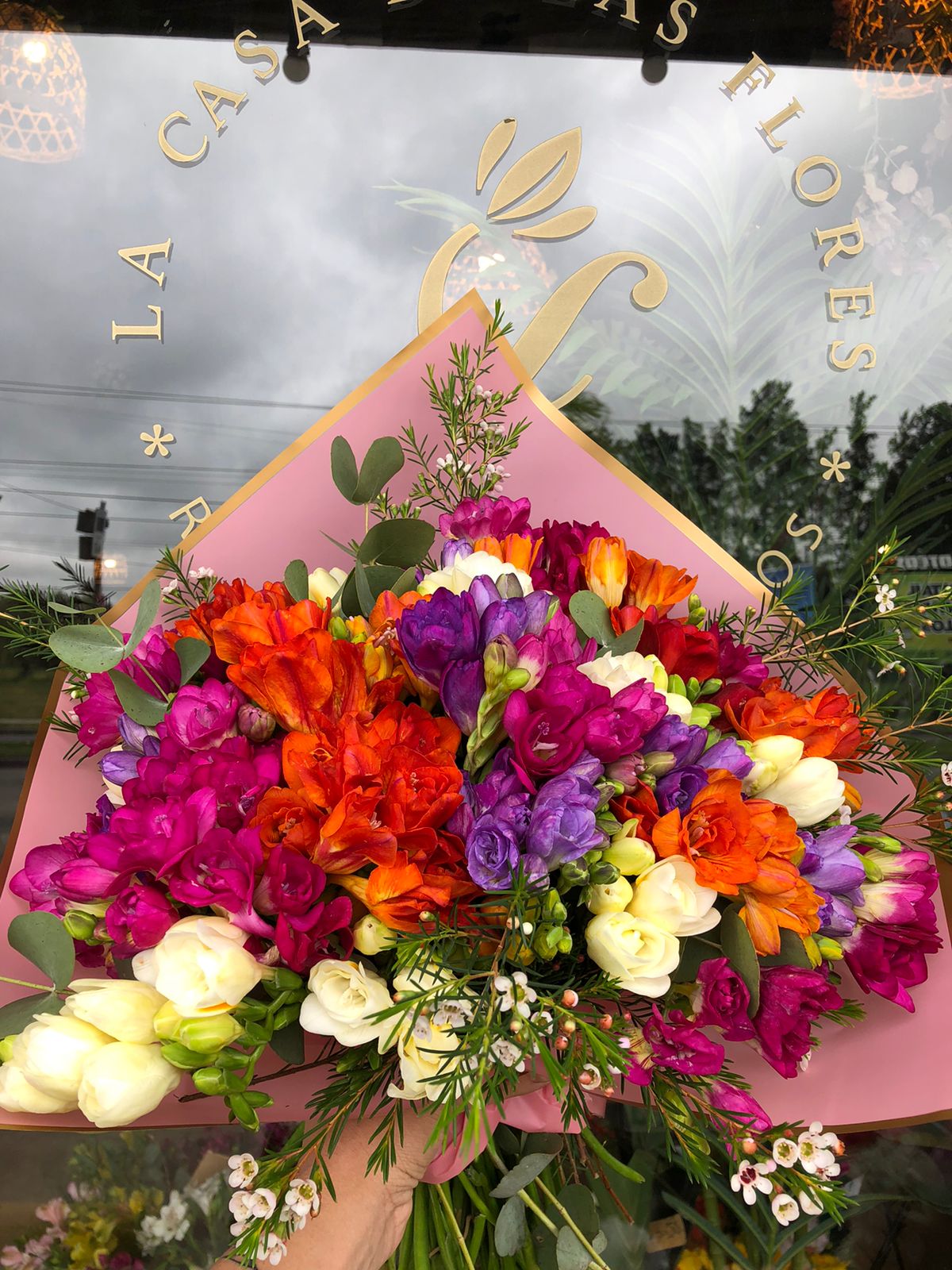 Fresias Full Color Grande